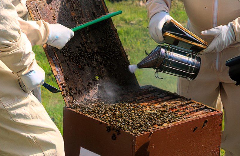 Is there a point at which honey becomes no longer good to eat?