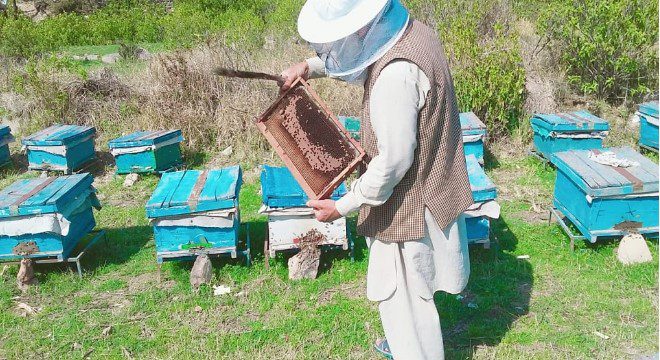 Can honey expire like many perishable items?